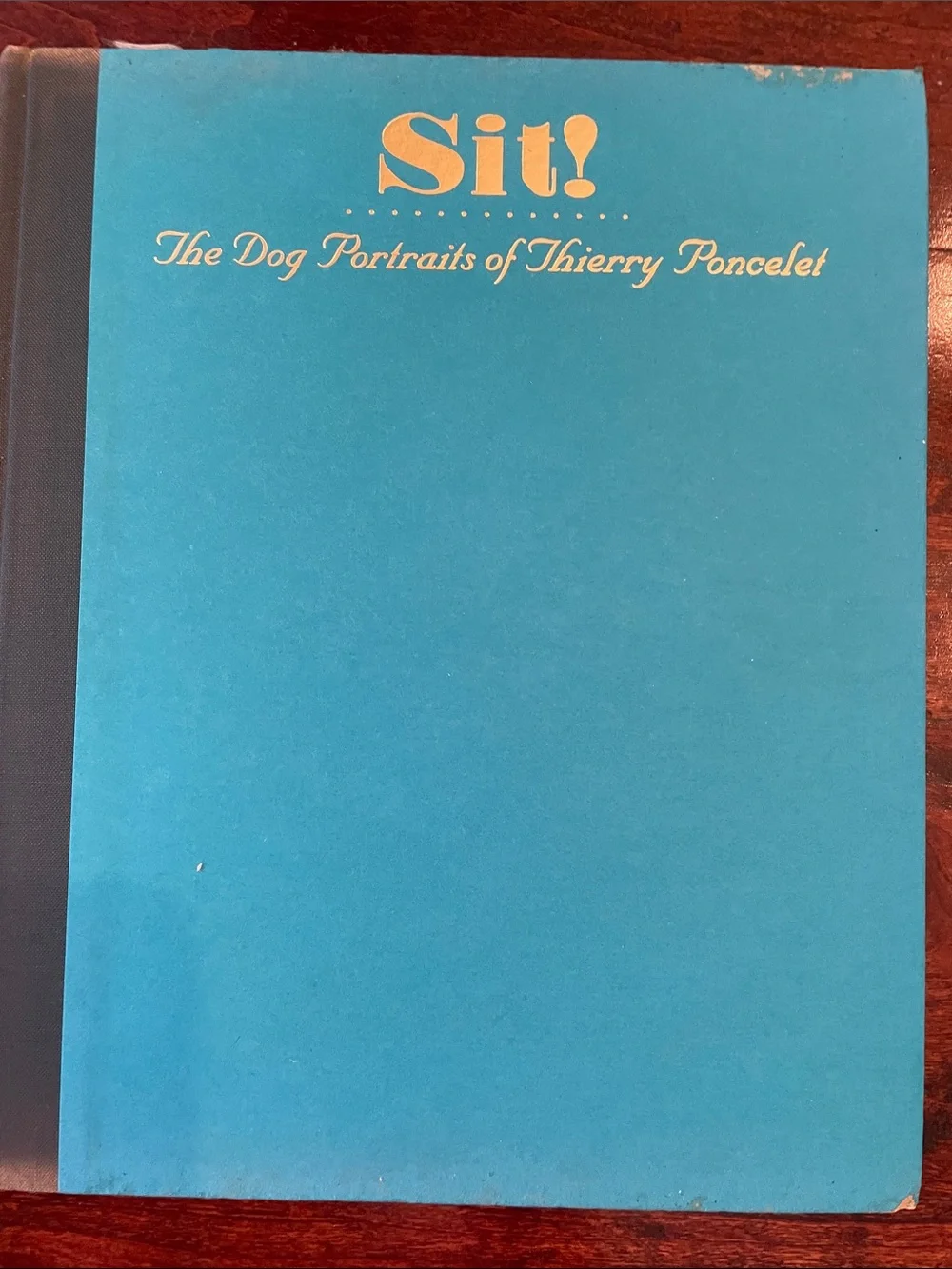91 pp filled with fabulous dog portraits. Dust cover has a taped rip
